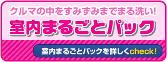 室内まるごとパックを詳しくcheck!